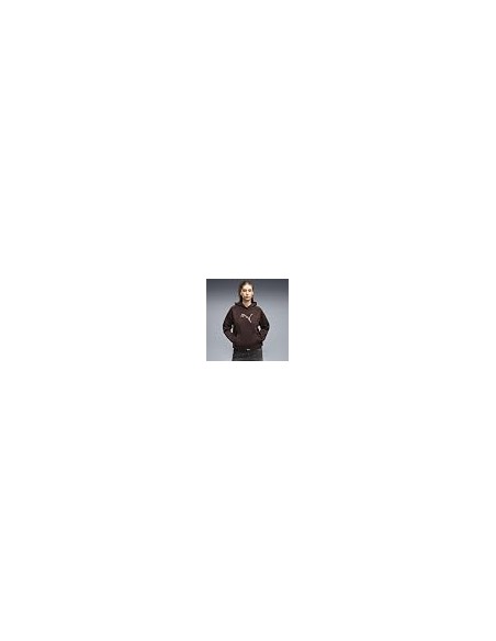 PUMA MUJER SUDADERA ESS SEQUINS STANDARD HOODIE FL AW26