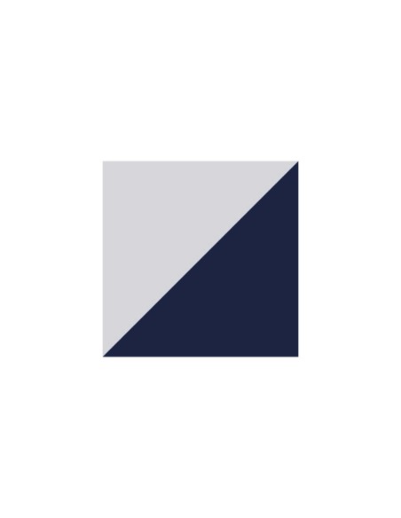 Puma Fun Racer AC Inf Bright Cobalt-High