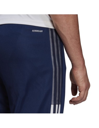 ADIDAS-Pant-TIRO21 TR PNT