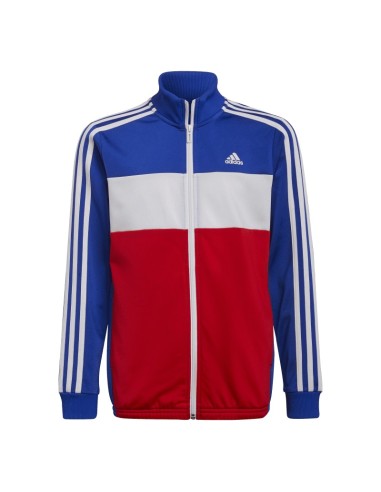 Adidas-Chandal-B TIBERIO TS