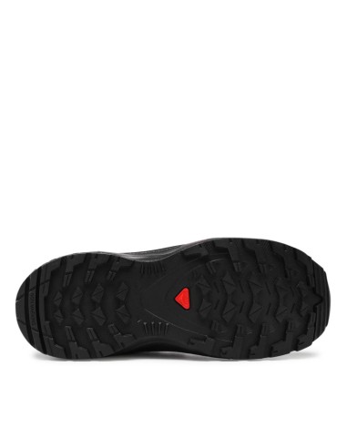 XA PRO V8