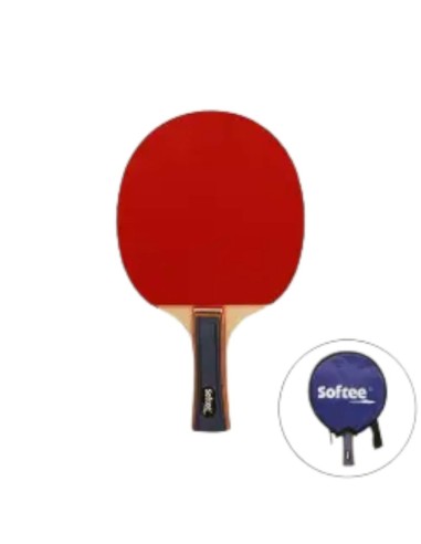 RAQUETA TENIS DE MESA P100