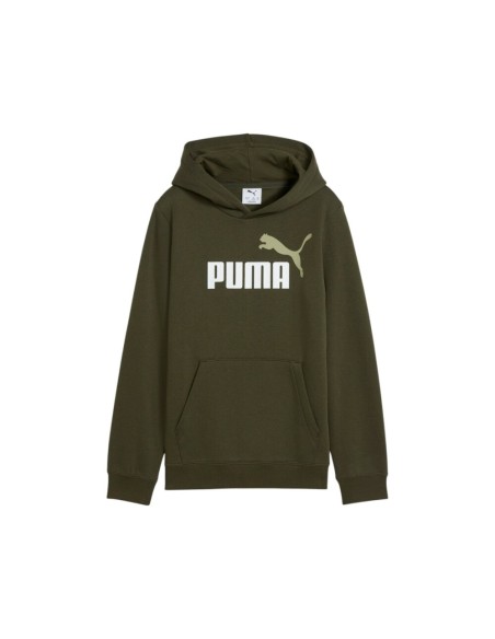 Sudadera verde PUMA ESS 2 COLOR LOGO HOODIE FL 685822-70