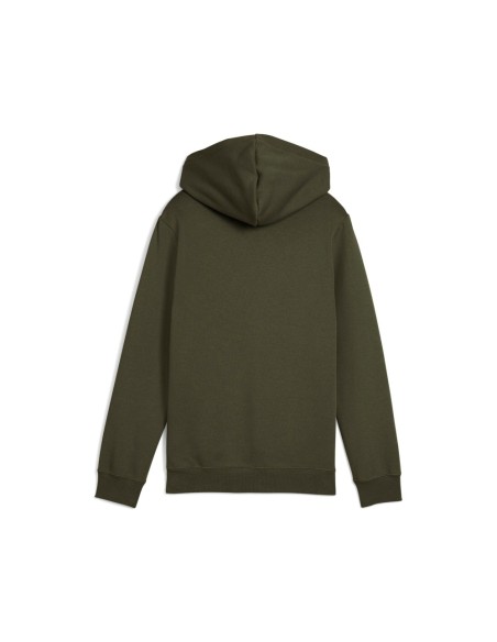 Sudadera verde PUMA ESS 2 COLOR LOGO HOODIE FL 685822-70